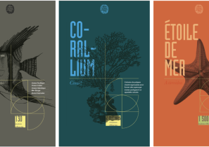 Trois affiches sur la faune marine : poisson, corail et étoile de mer